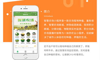 順風車 千騎定制開發商城 餐飲 婚慶 電商