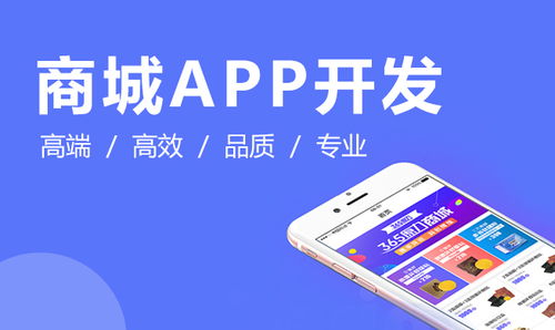 石家莊app開發 石家莊小程序開發 石家莊外包公司 河北專業的開發公司