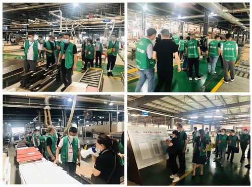 年中盛典，智造未來 619超級(jí)工廠購暨財(cái)富品鑒會(huì)圓滿落幕，揭秘購物商城定制新篇章